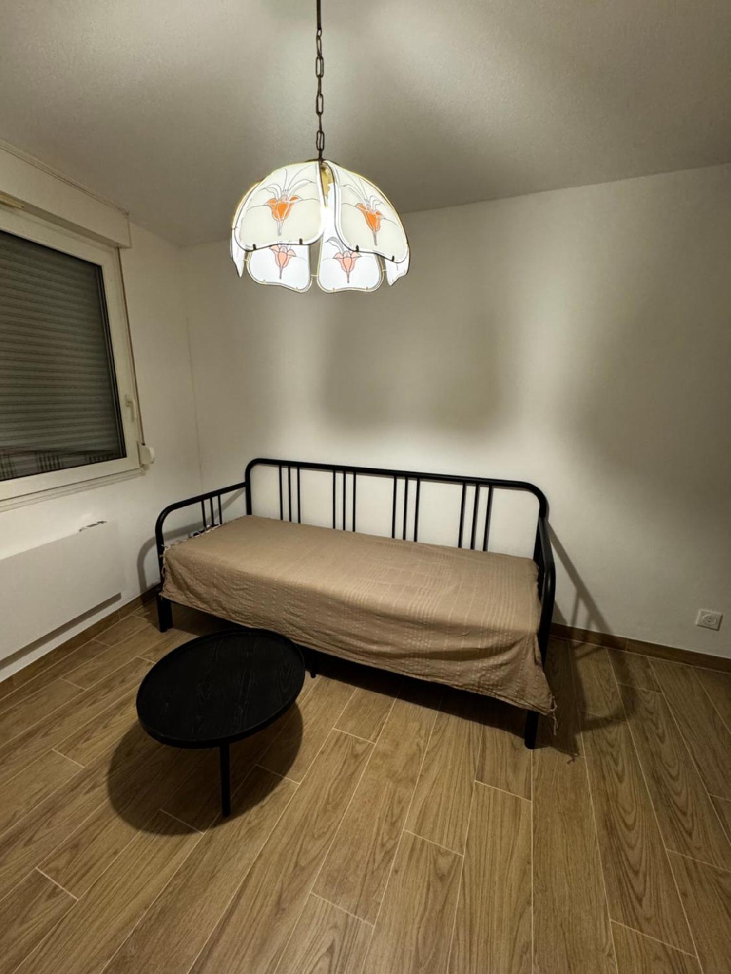 Le Sarsour Appartement Strasbourg Centre エクステリア 写真