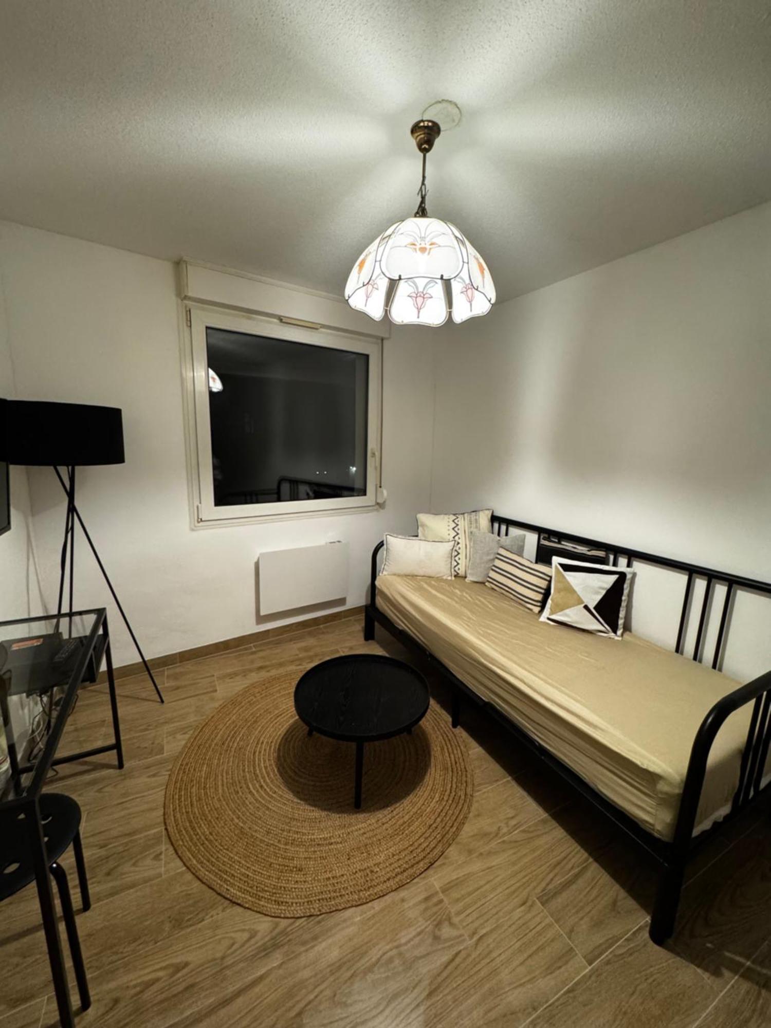 Le Sarsour Appartement Strasbourg Centre エクステリア 写真